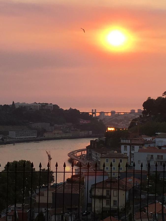 Apartament Virtudes Patio Porto Zewnętrze zdjęcie